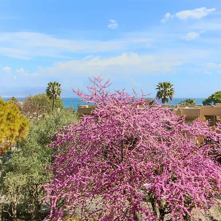 Beautiful Flat With Sea View Terrace Pool Parking Portative Ac- Benakey Αντίμπ