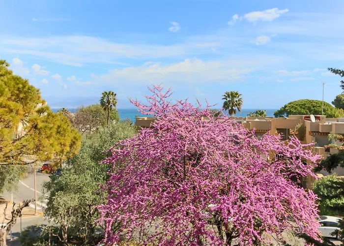 Beautiful Flat With Sea View Terrace Pool Parking Portative Ac- Benakey Antibes